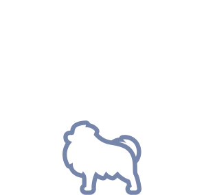 Toy dog icon